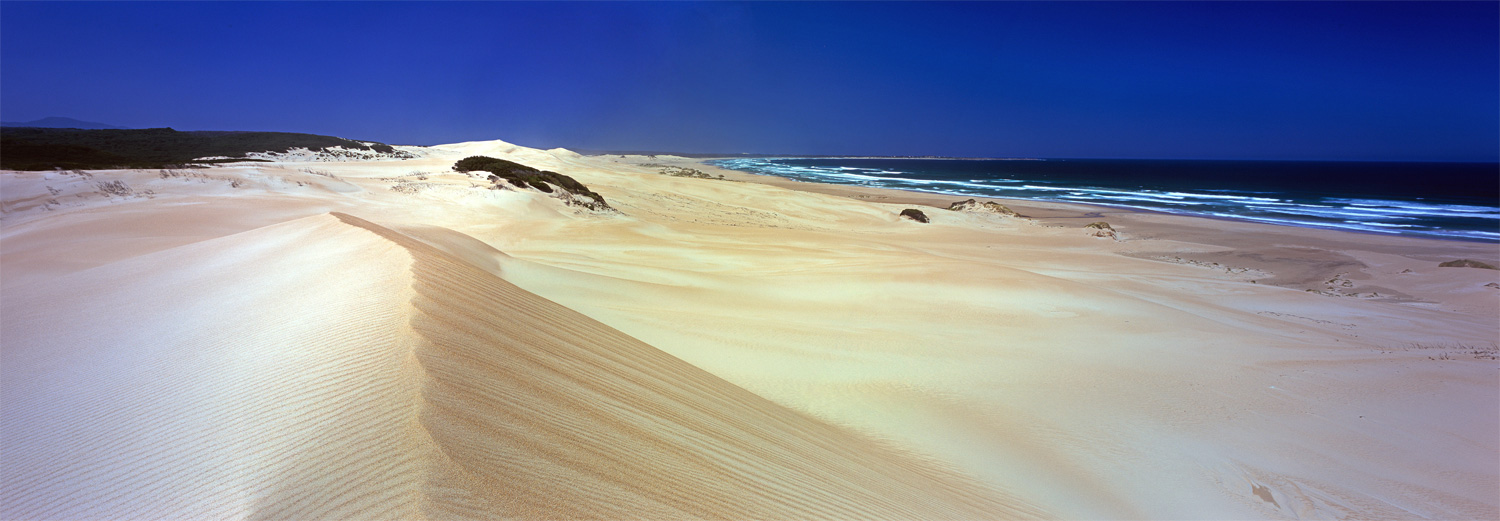 Sand Dune Perfection