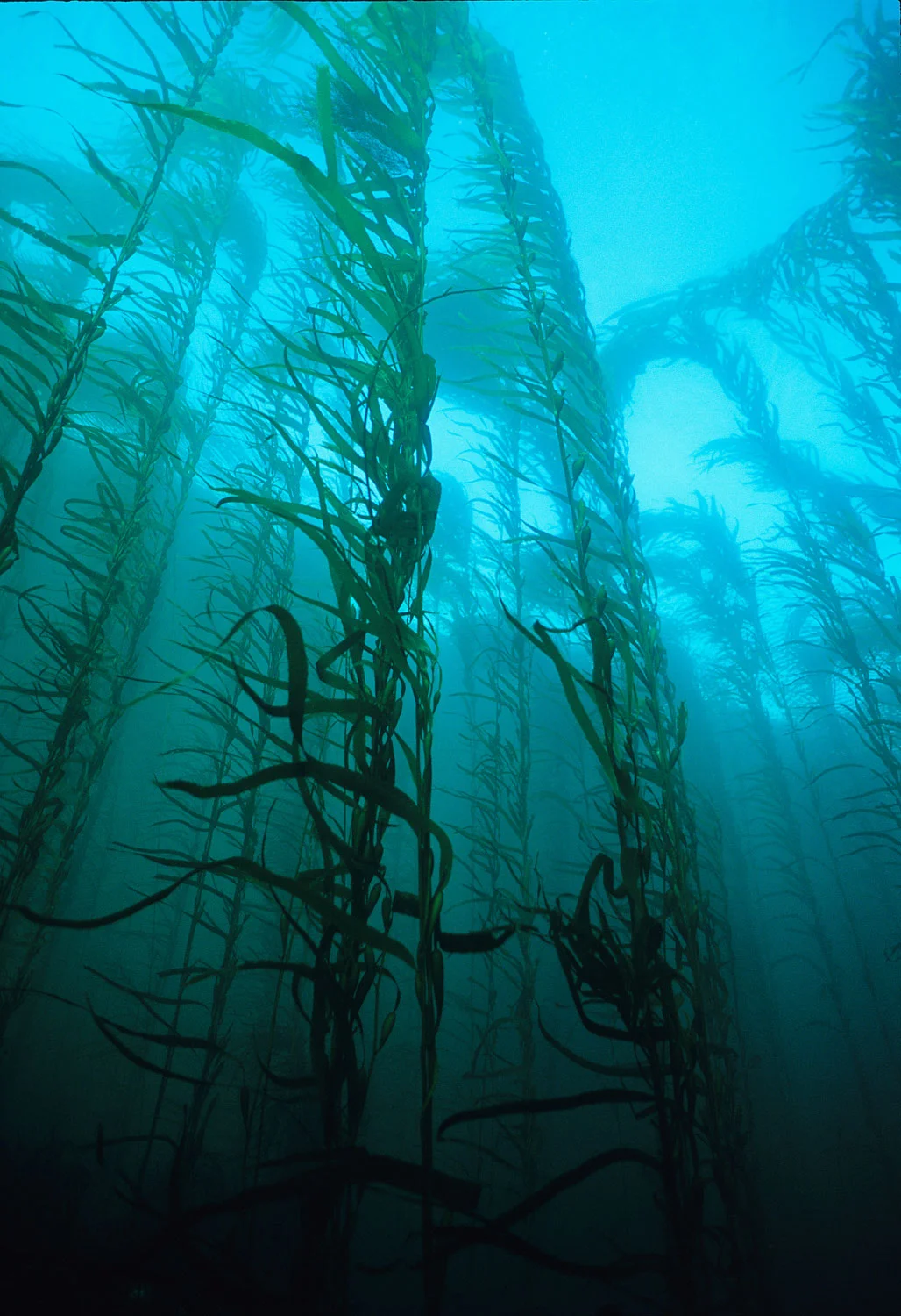 Underwater