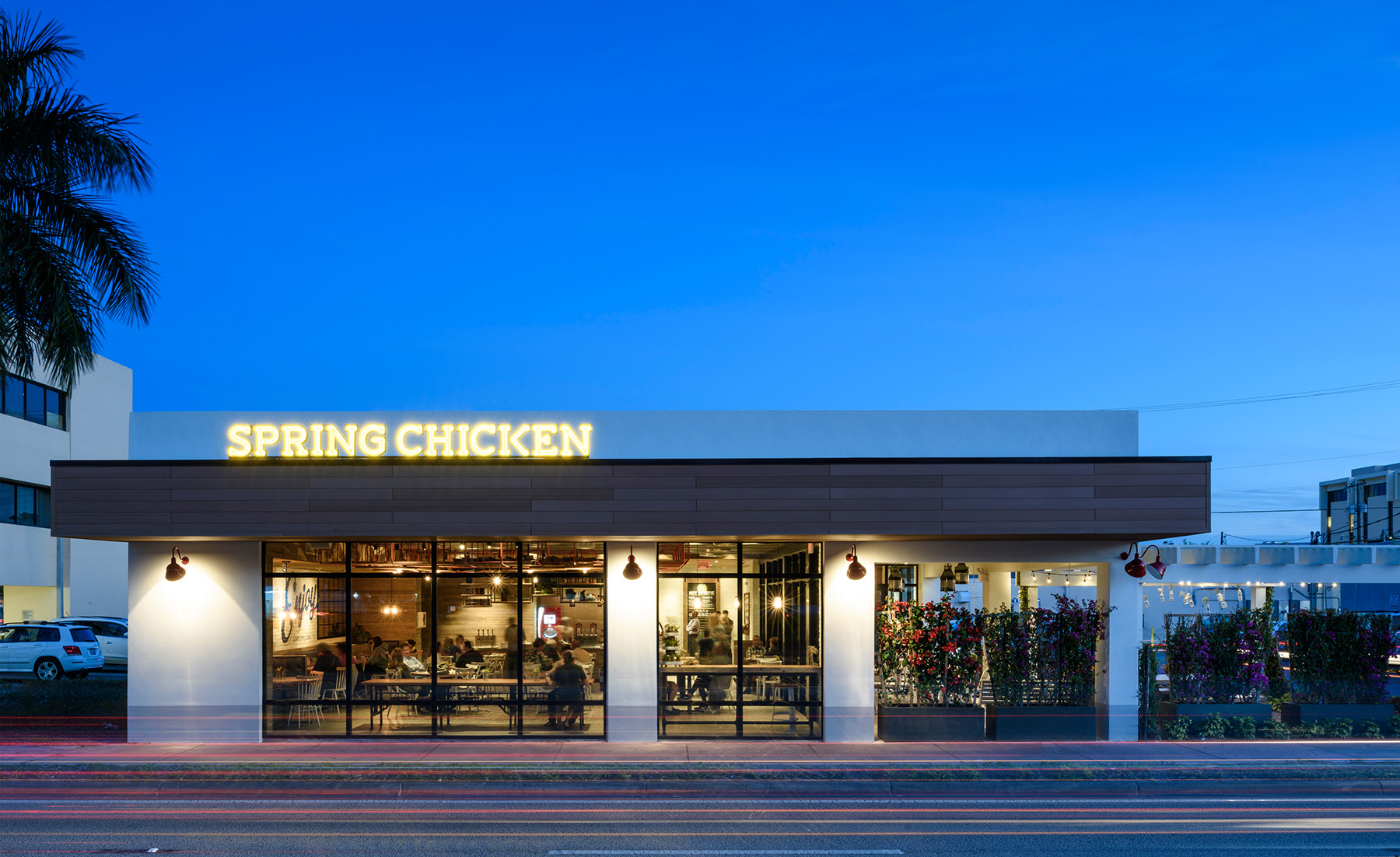 16315_131707-Spring_Chicken.jpeg