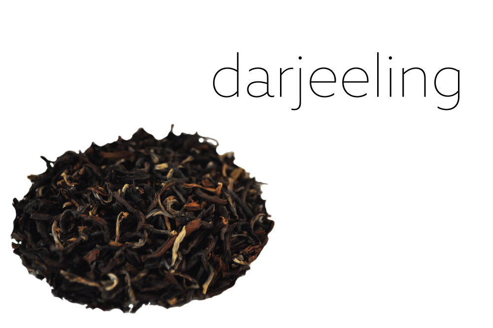 Darjeeling-web.png