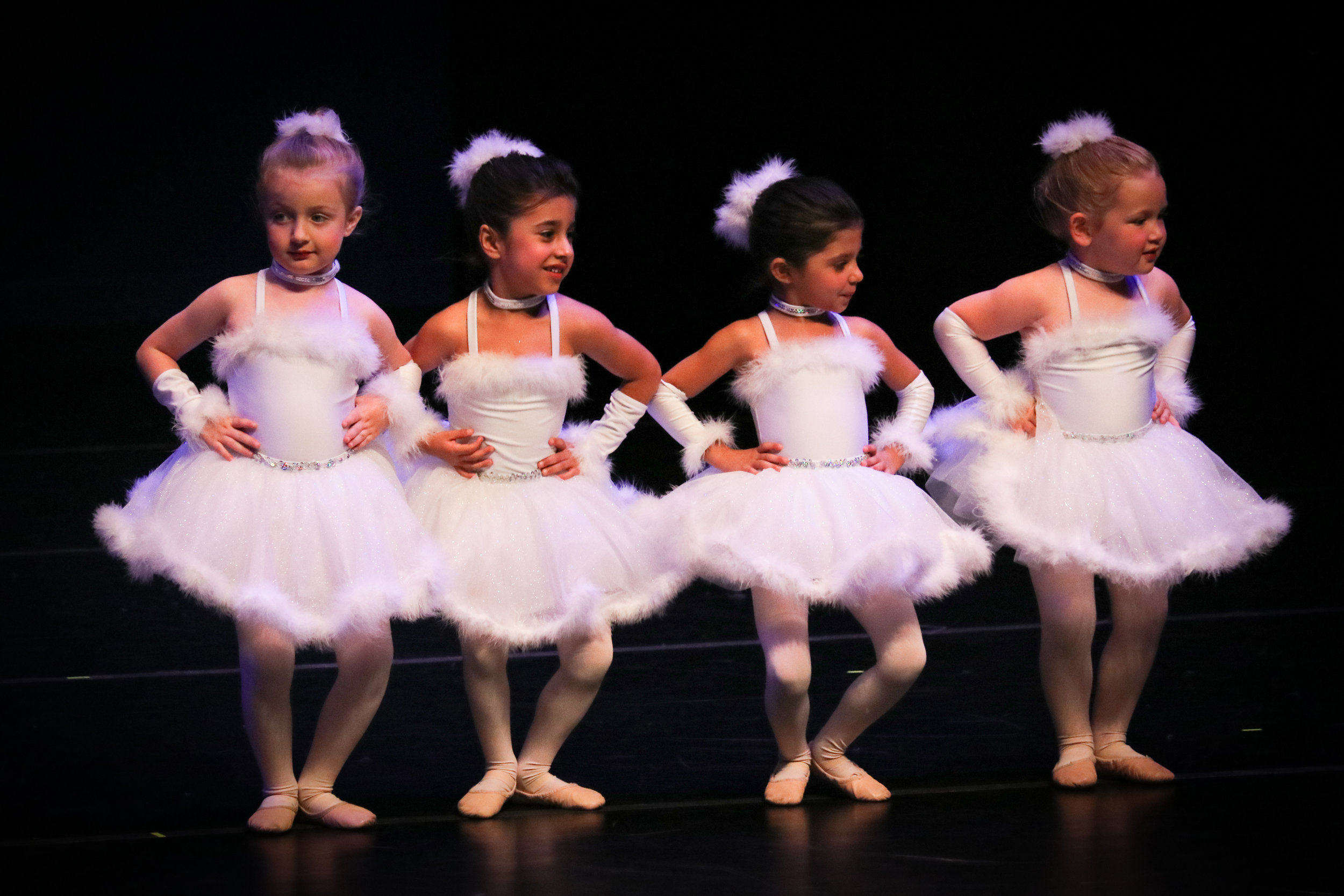 PreBallet Swans.jpg