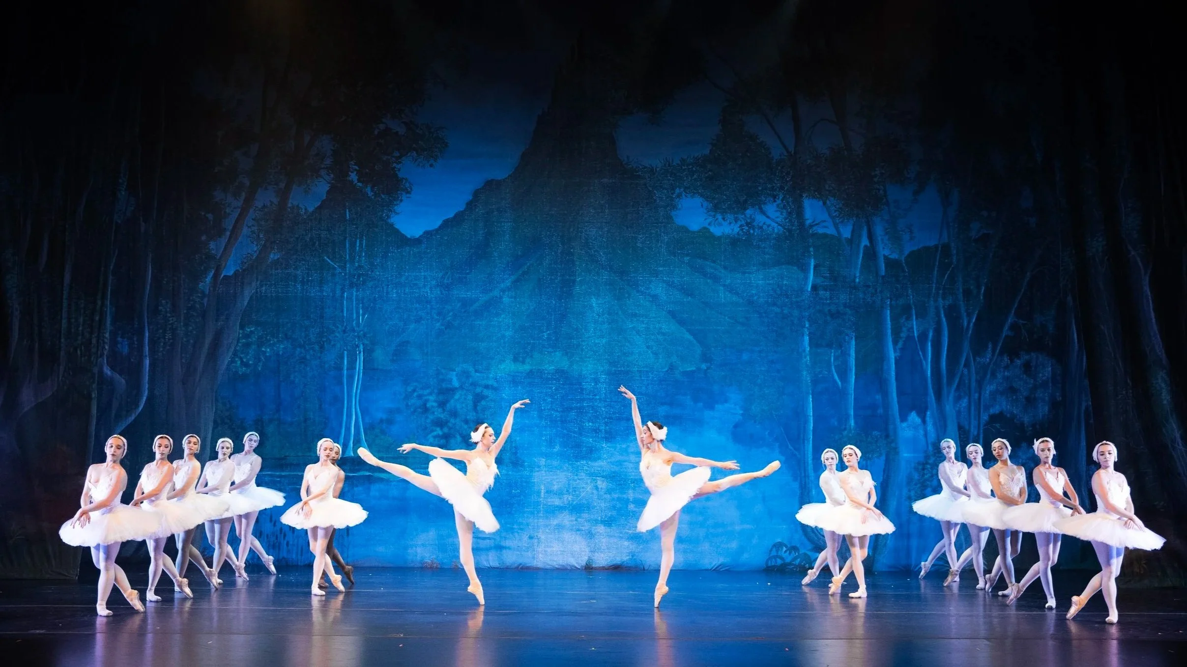 SwanLake22.jpg