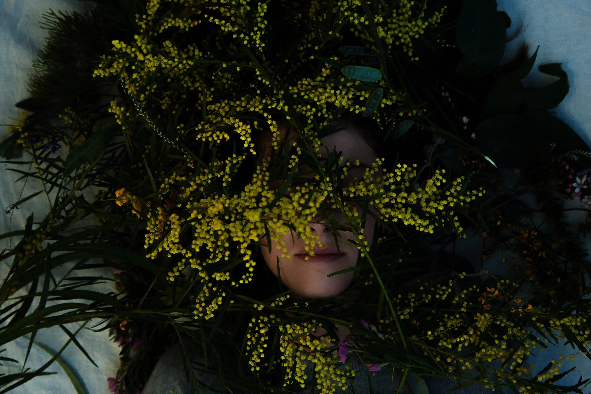 Wildflower