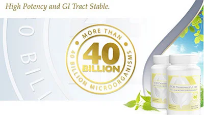 YorProbioticHighPotency2.jpg