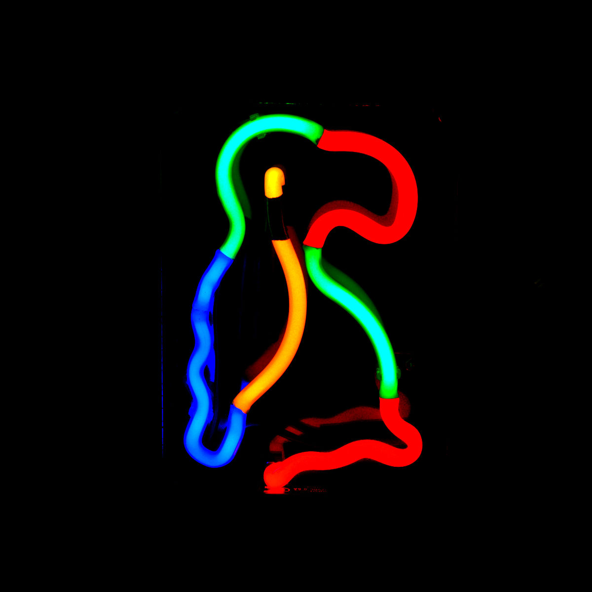 resized neon parrot.jpg