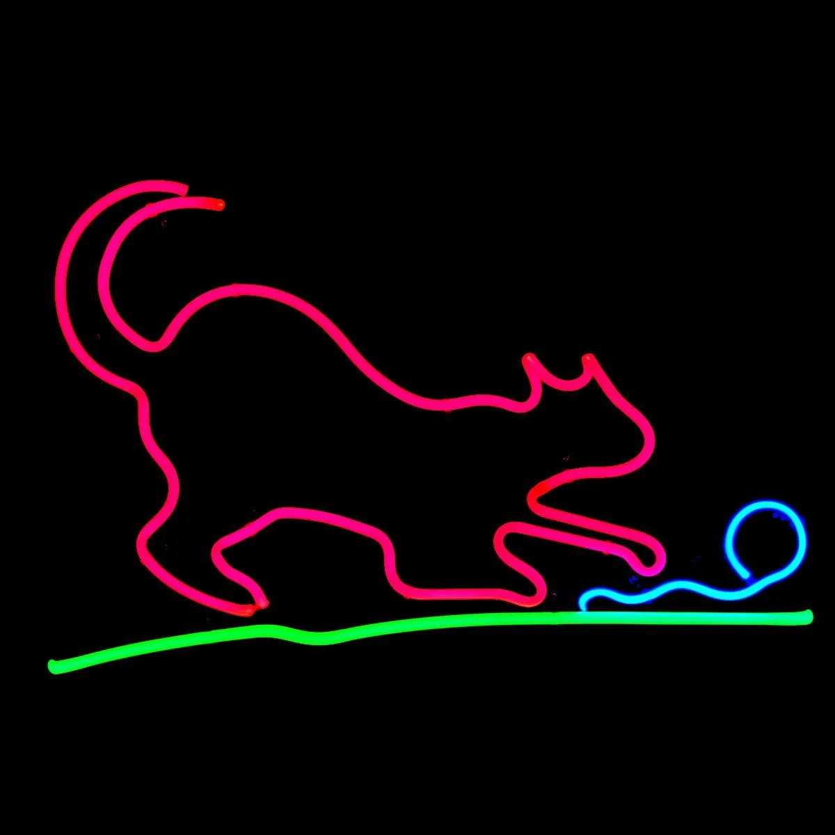 HERE KITTY KITTY CAT NEON LIGHT ARTWORK by John Barton - BartonNeonMagic.com
