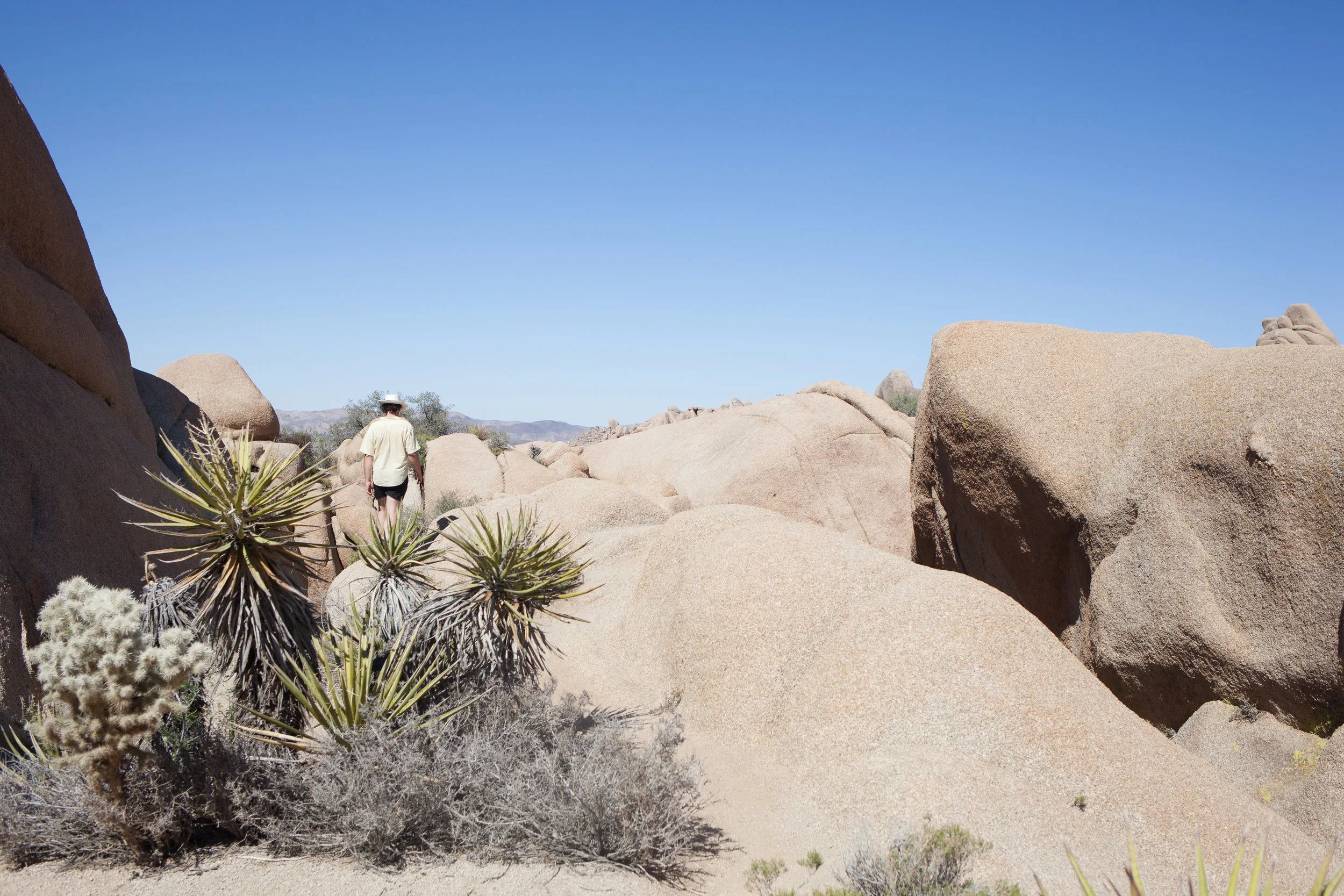 San Diego + Joshua Tree