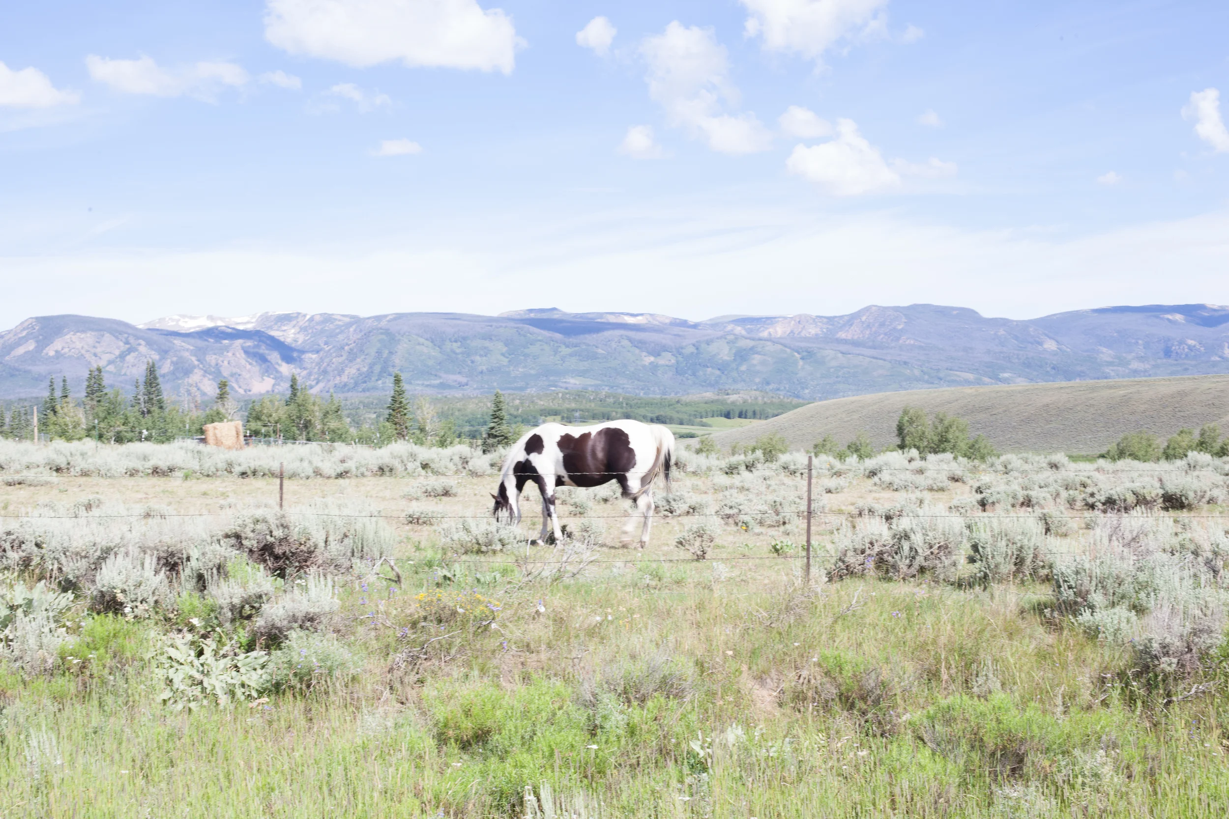 Our Best Moments: 2015