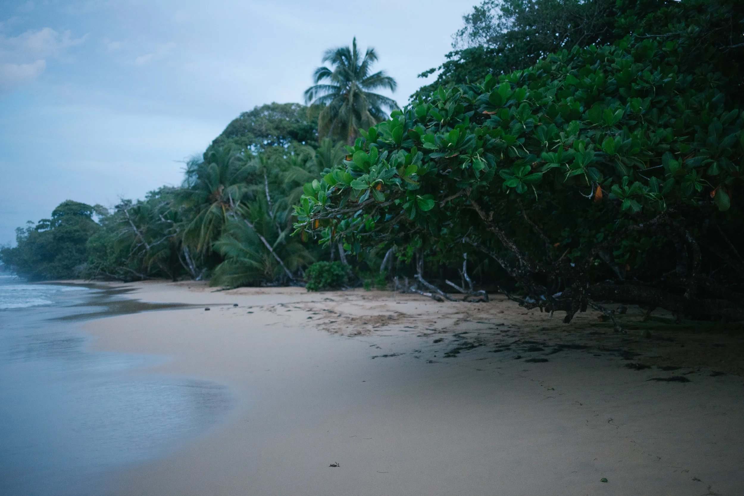 Bocas del Toro