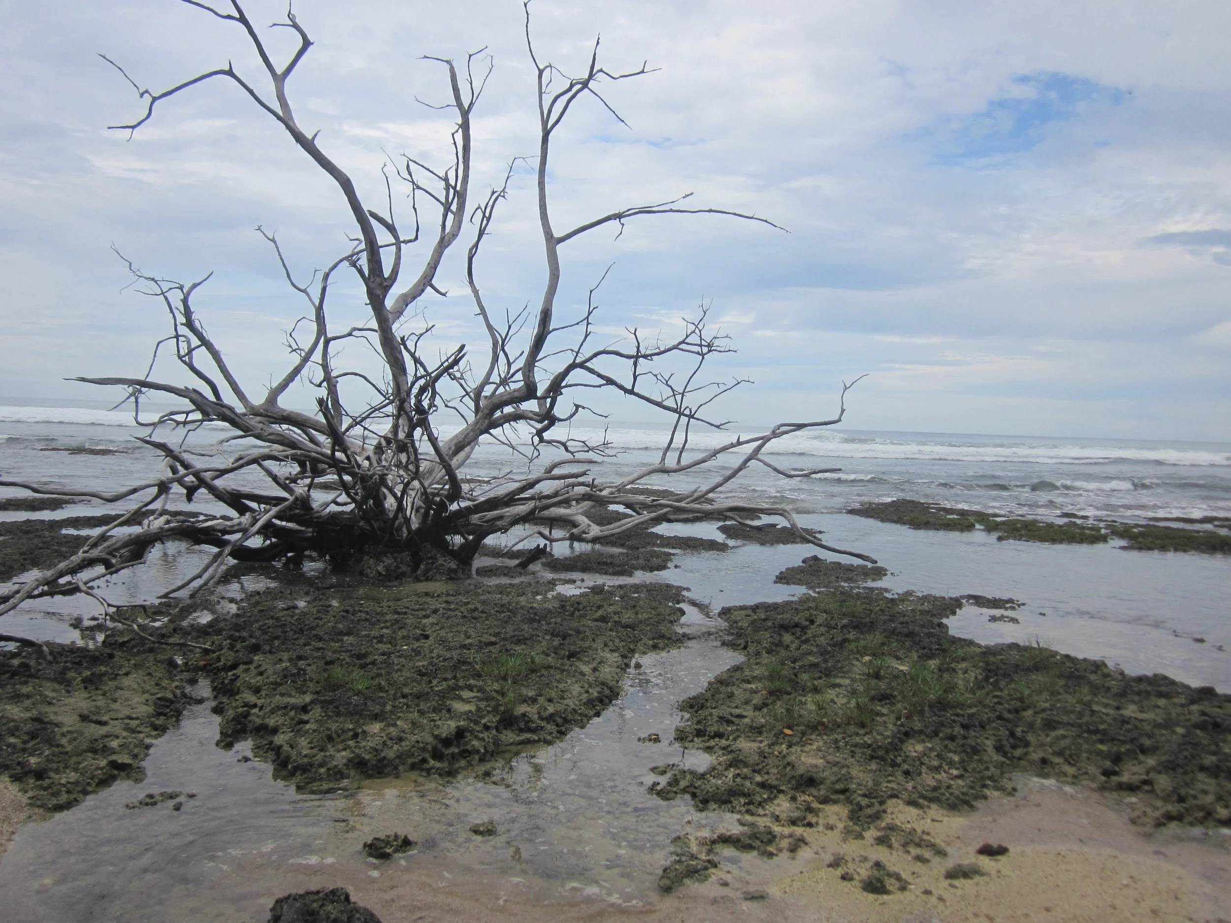 Hiking in Bocas del Toro, Panama