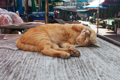 Lampang, Thailand