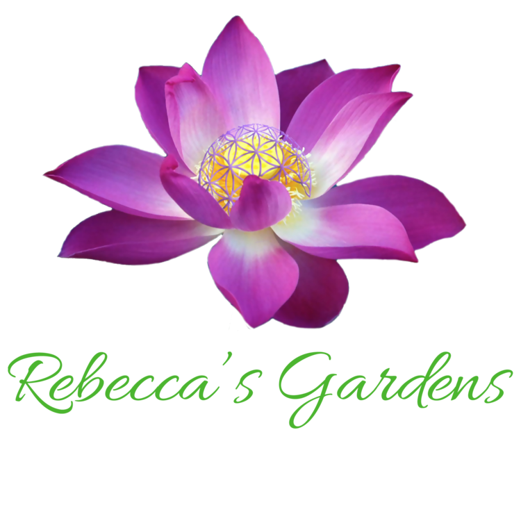 Rebecca's Gardens