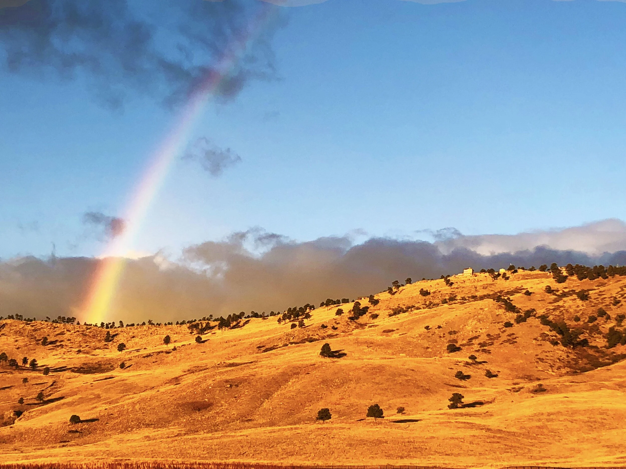 rainbow.jpeg