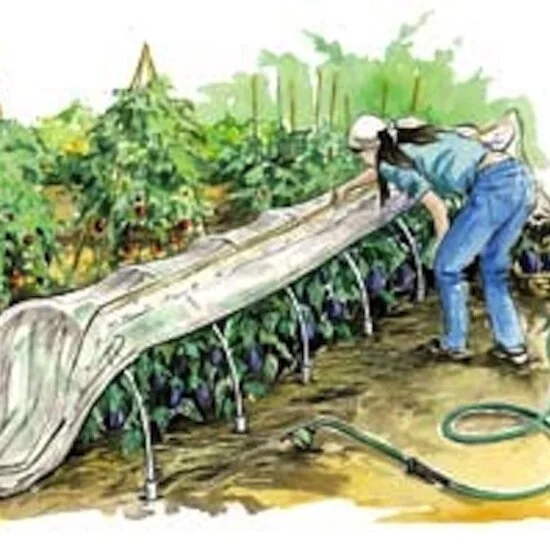 A Garden Example At High Altitude