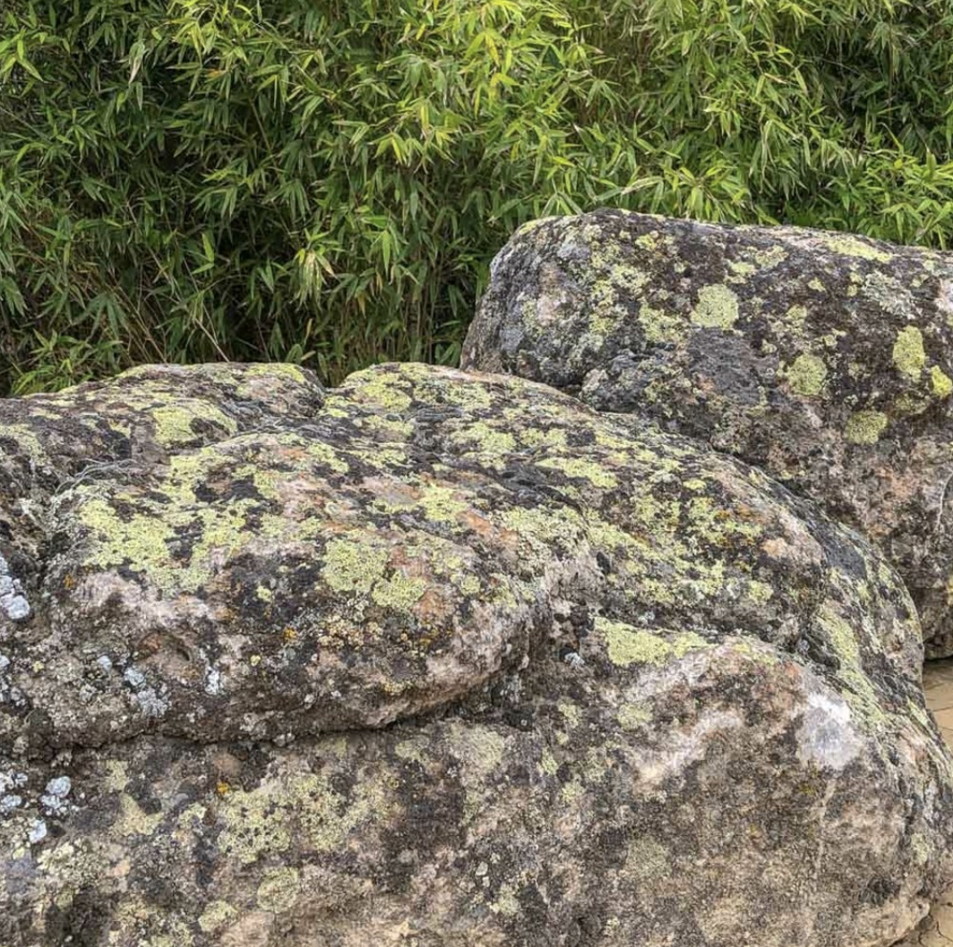 Moss Rock Boulder