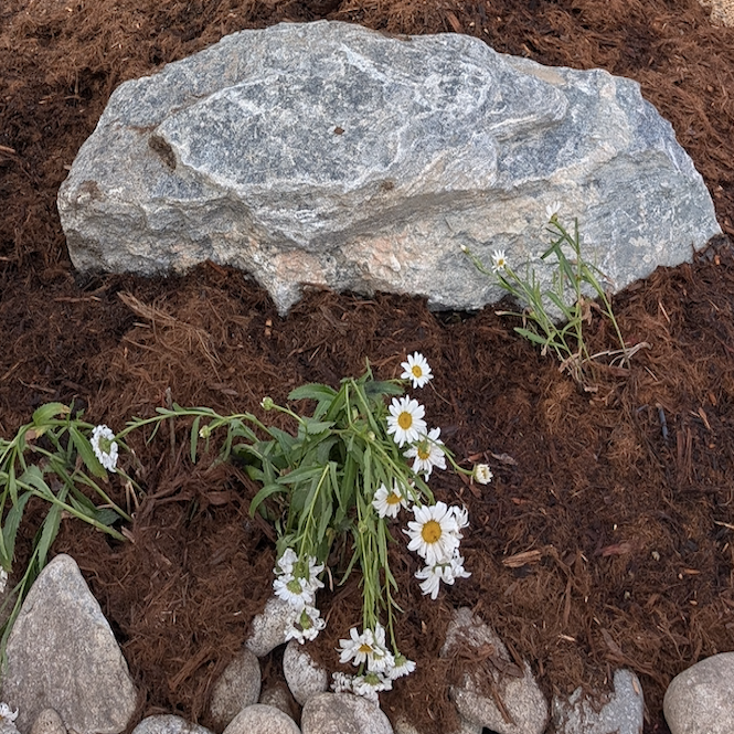 Granite Boulder