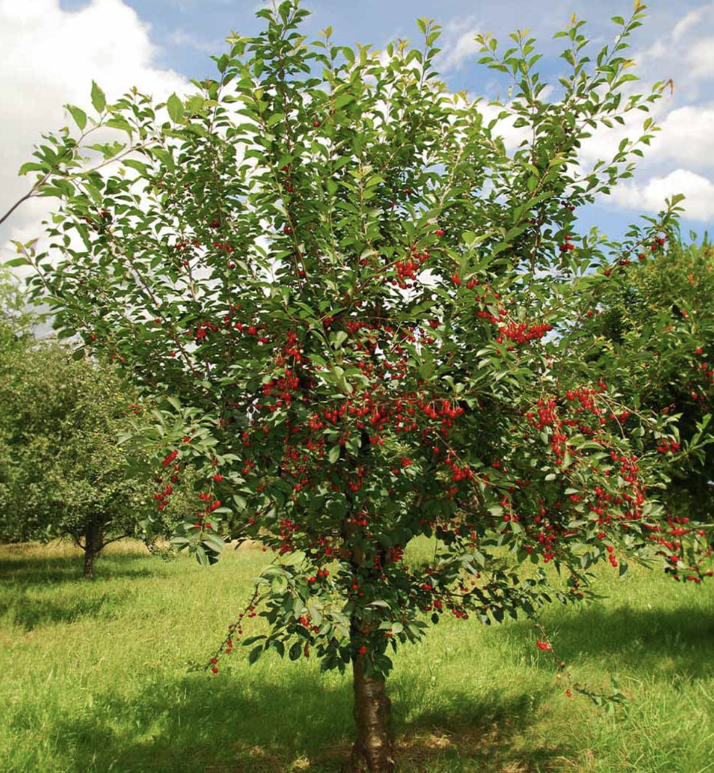 Screenshot 2026-04-21 at 10.34.32 PM.png