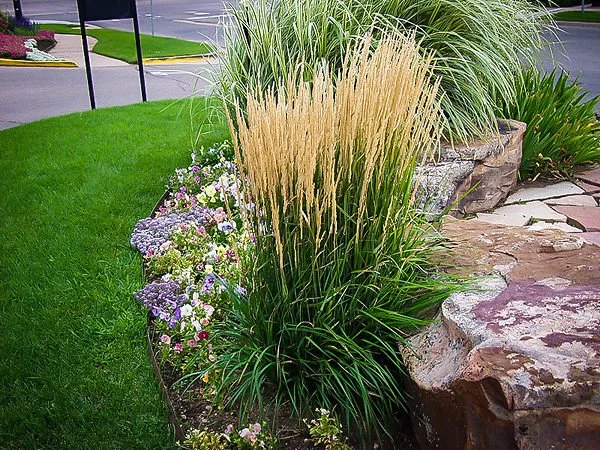Karl Forester Grass