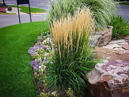 Karl Forester Grass