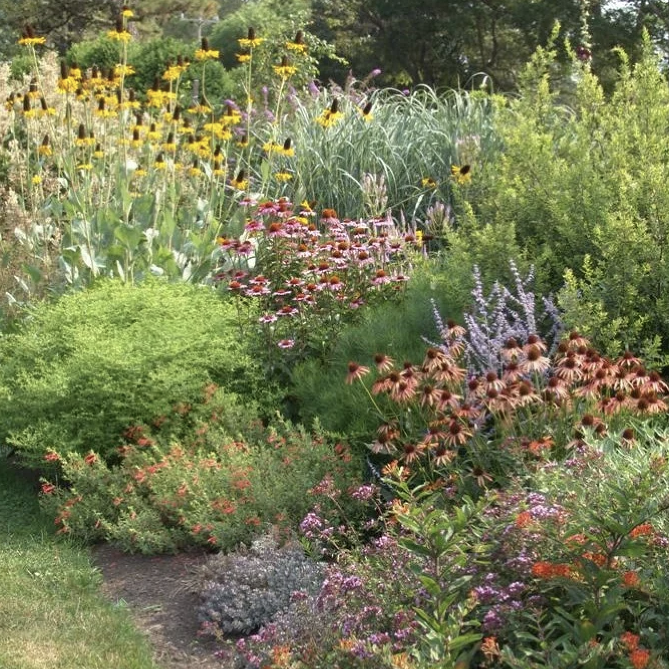 Neighborhood Natives.png