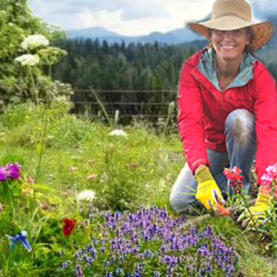 seasonal synchronicity.png