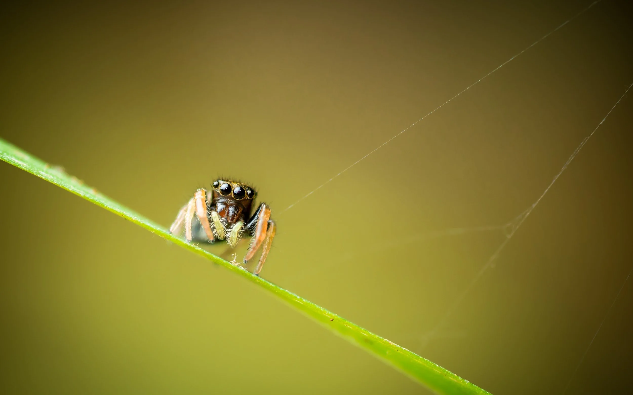 DSC_1141.jpg