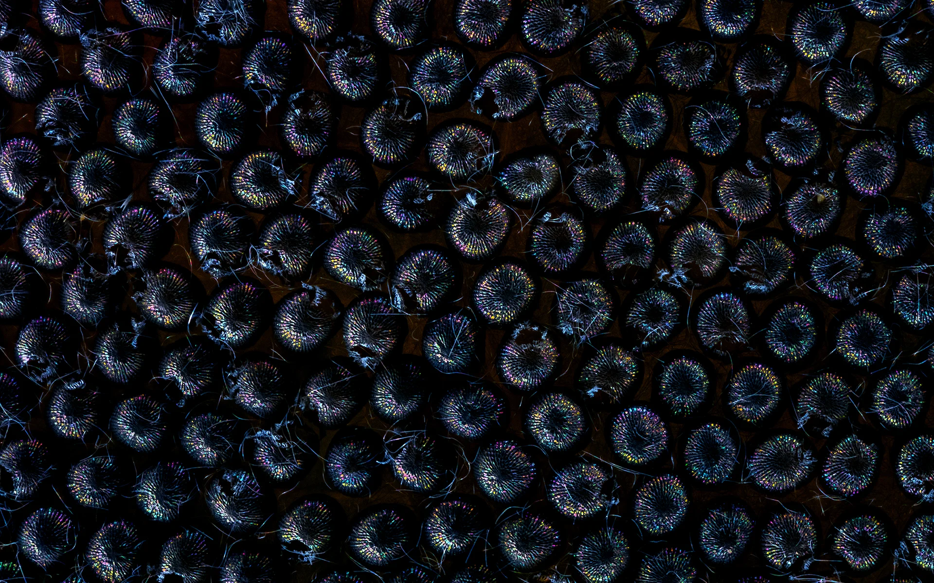 Ephemeral Pods