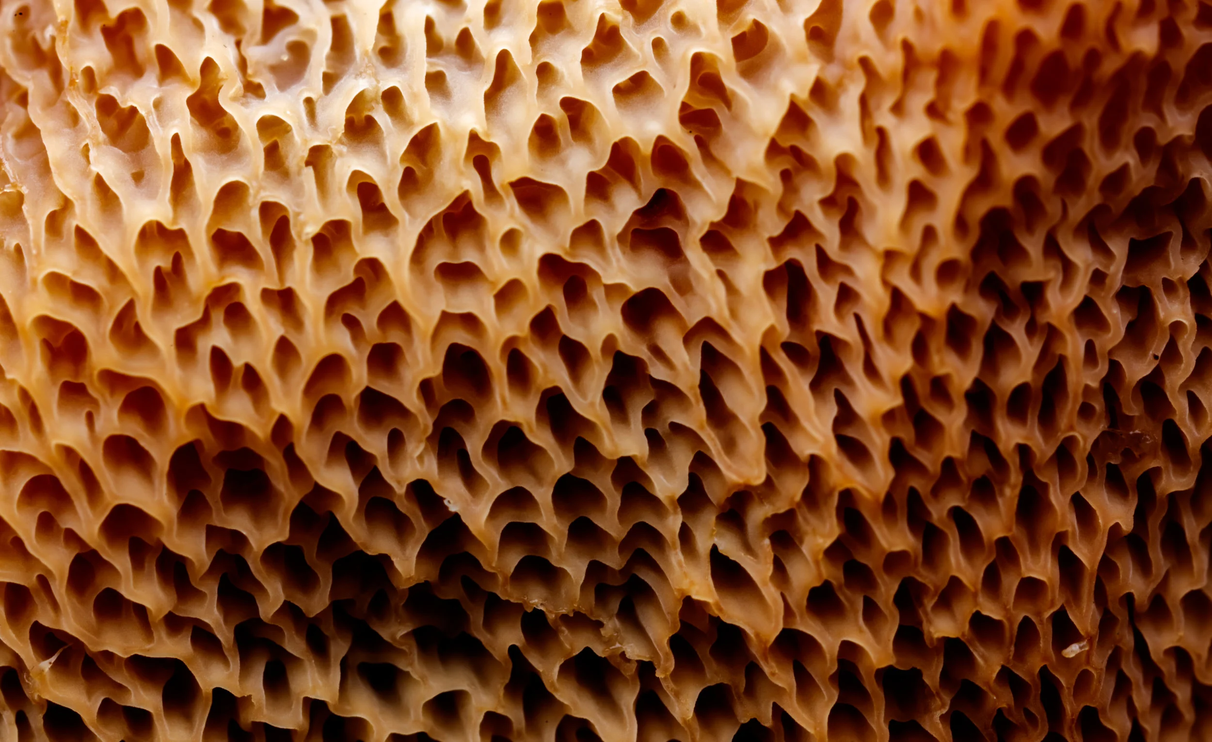 _69A0205.jpg
