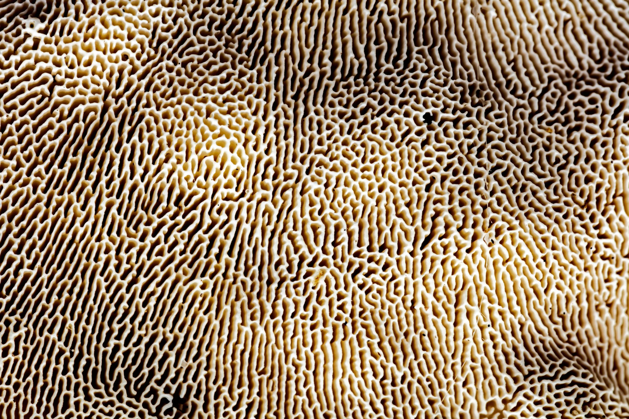 _69A0102s.jpg