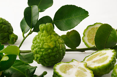 Kaffir Lime