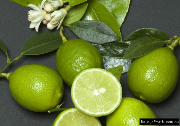 Tahitian Lime