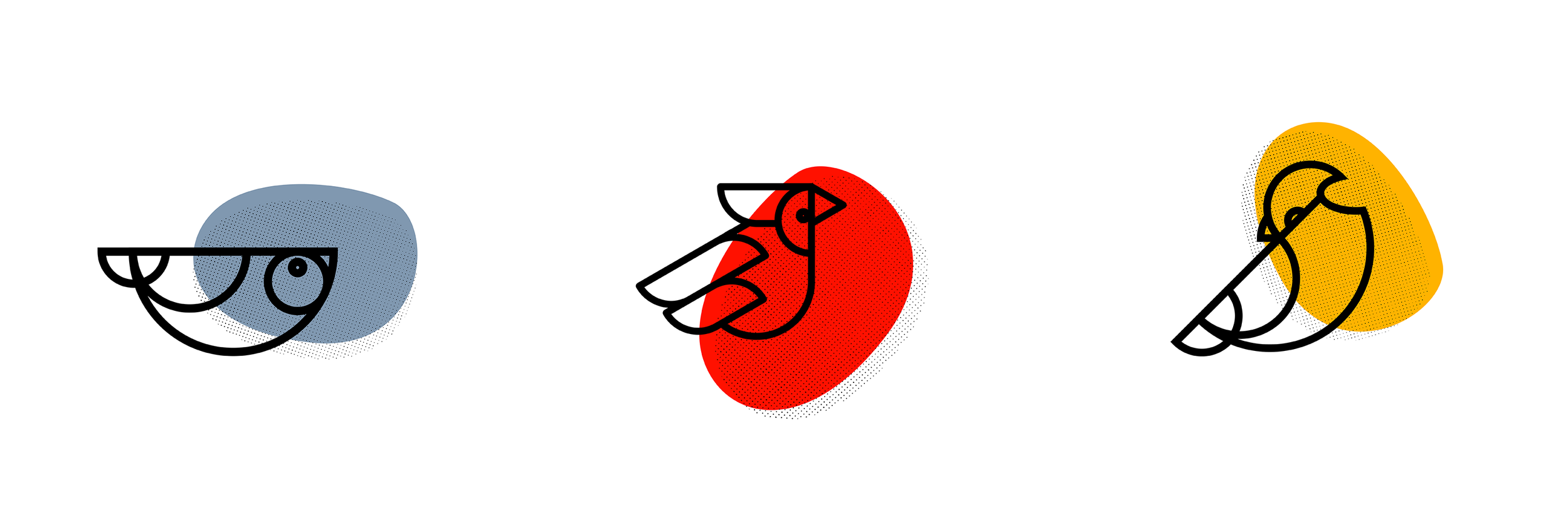 birds.png
