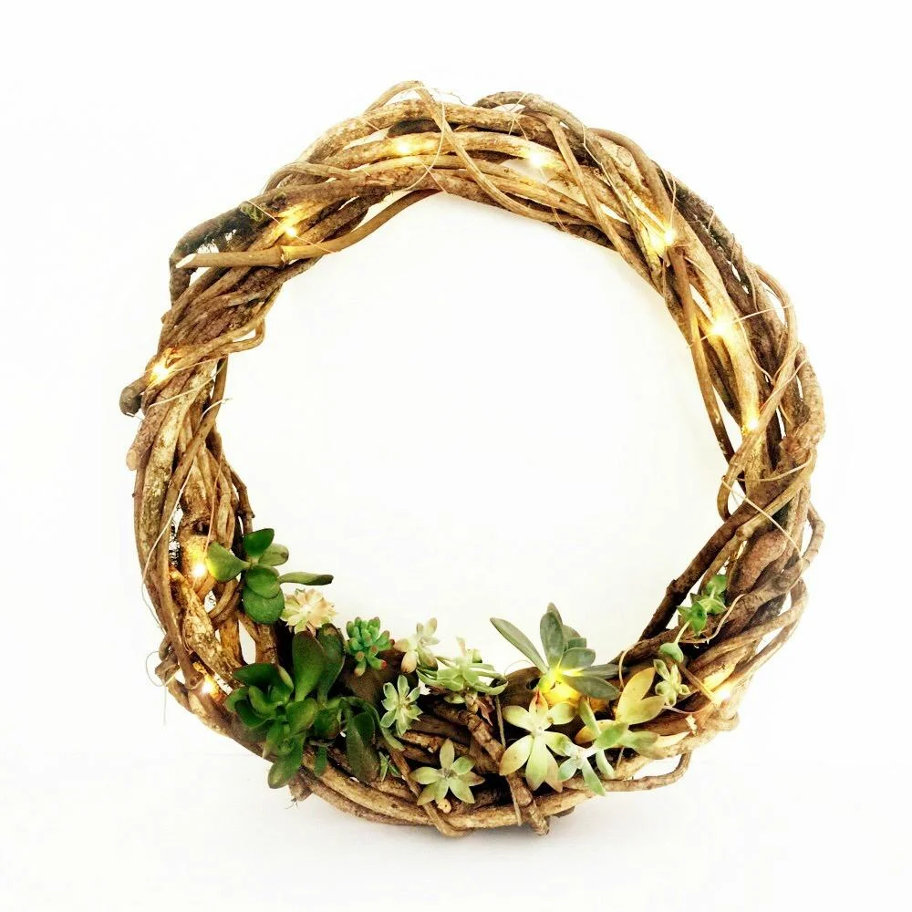 Spend the morning with us and Brooke Munro creating a beautiful living Christmas wreath that will have a place in your home for many a Christmas to come. Michael Buble will be playing and there with be an abundance of Christmas spirit to encourage you as you learn how to create the wreath from locally harvested vine and how to incorporate the succulents and copper fairy lights into it. All vine, copper lights and succulent plants will be supplied to create your wreath on the day. This workshop is not only perfect for those with or without a green thumb - and anyone creative at heart. FOR BOOKINGS - https://www.littlelaneworkshops.com.au/collections/workshops/products/christmas-succulent-wreath-workshop-25-11-18-sunday-10-1pm