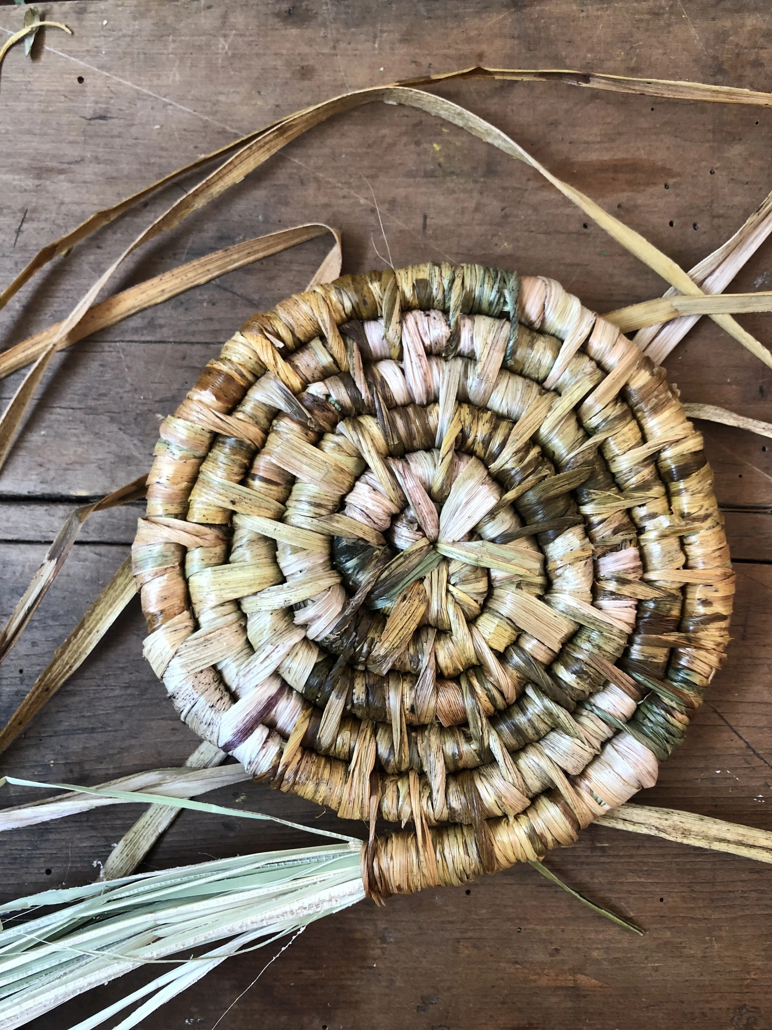 Coiled Basketry with Plant Fibres - MOONACRES SCHOOL  