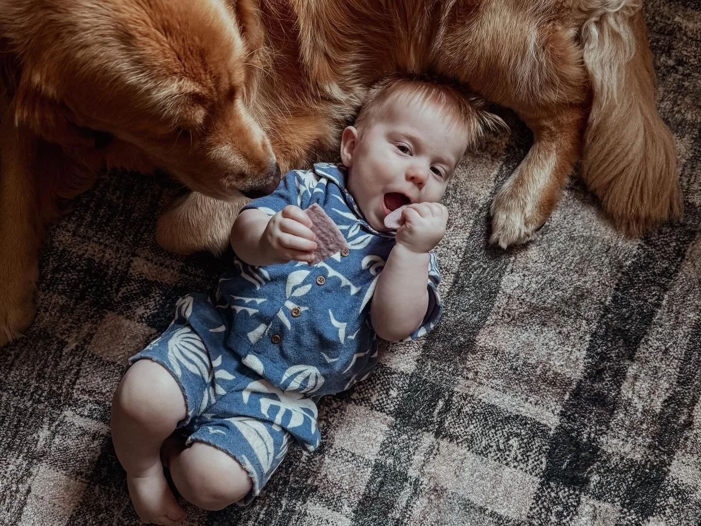 This 1️⃣1️⃣ month old (and his mom) are ready for this one year modeling contract to be over 📸