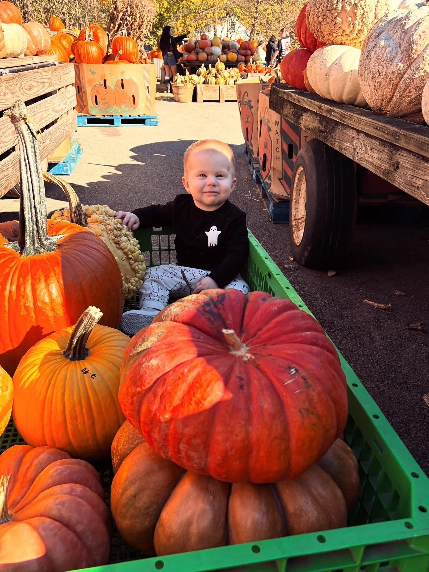Just a couple of pumpkins 🫶🎃
