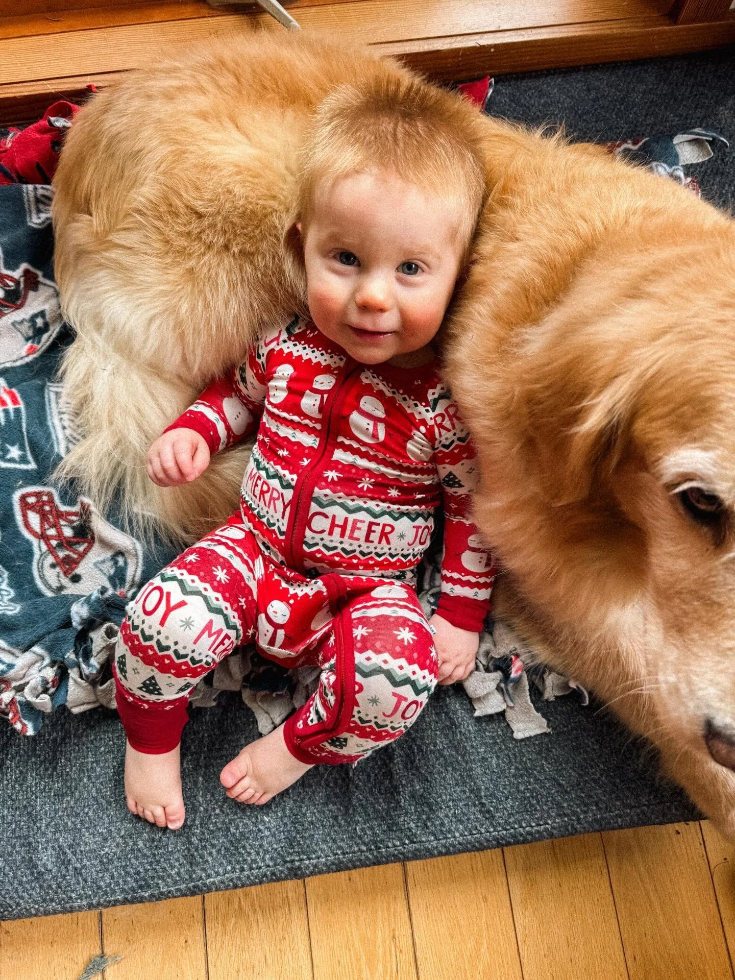 Trot, trot to Boston // Trot, trot to Dover 🦃🍁🫶