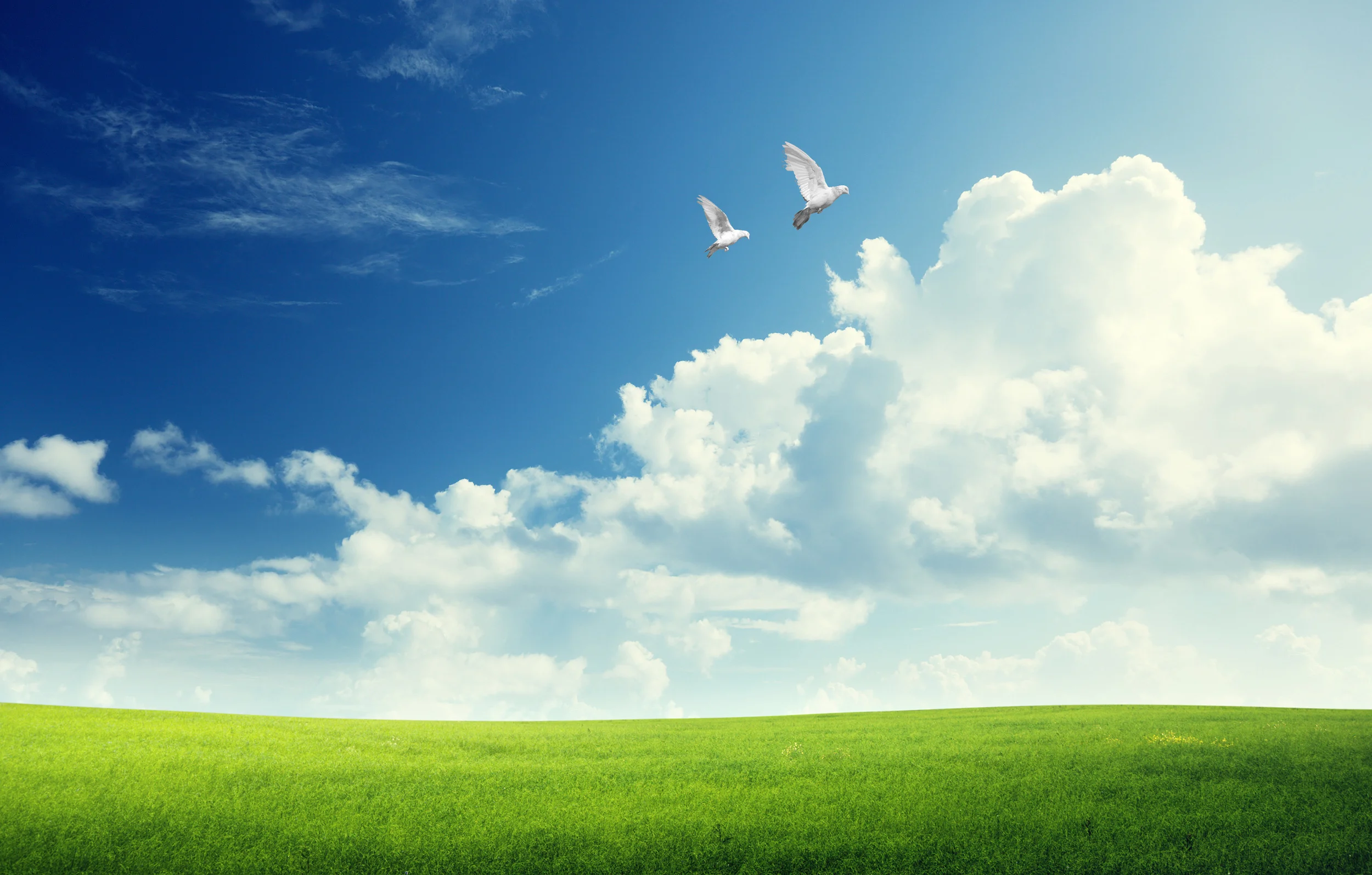 bigstock-field-of-grass-and-perfect-sky-59071577.jpg