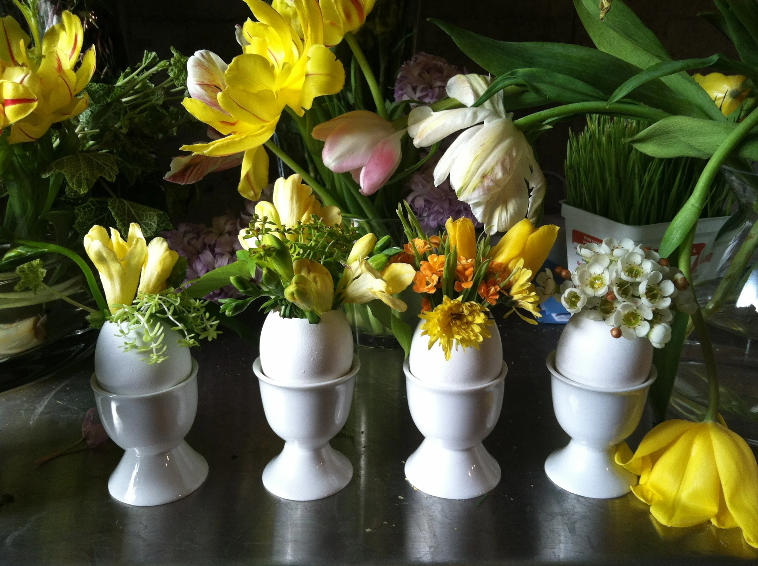 yes, those are real eggs