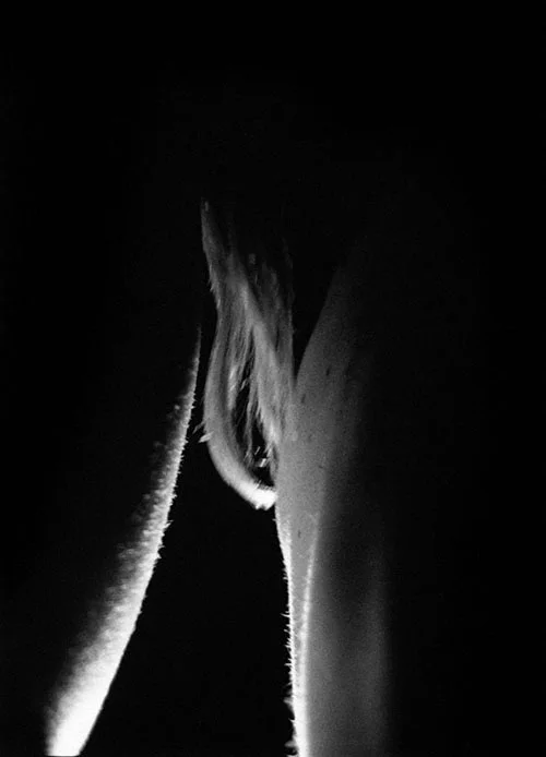 Eurobin Nude 2 