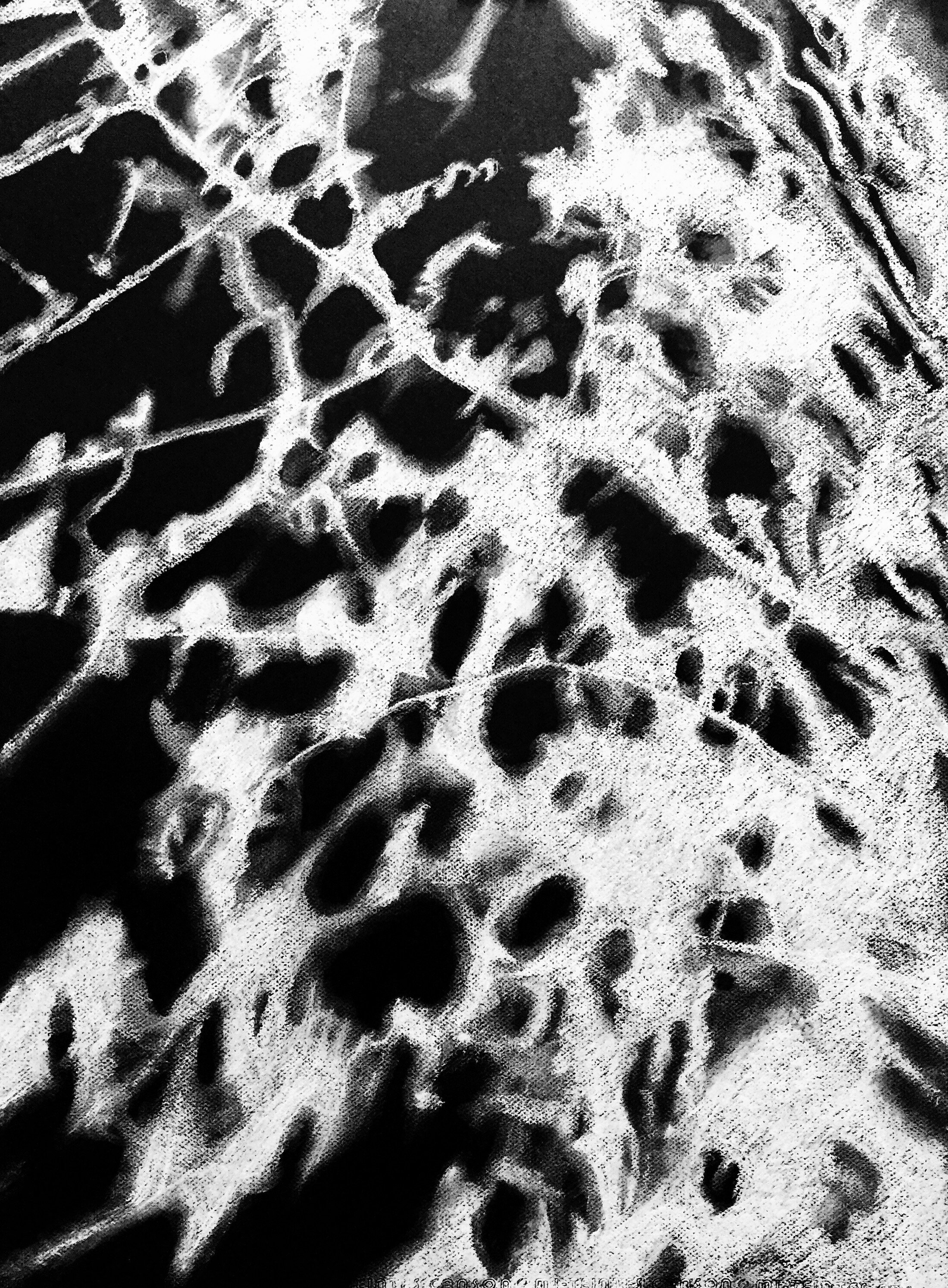 Fragile 1
