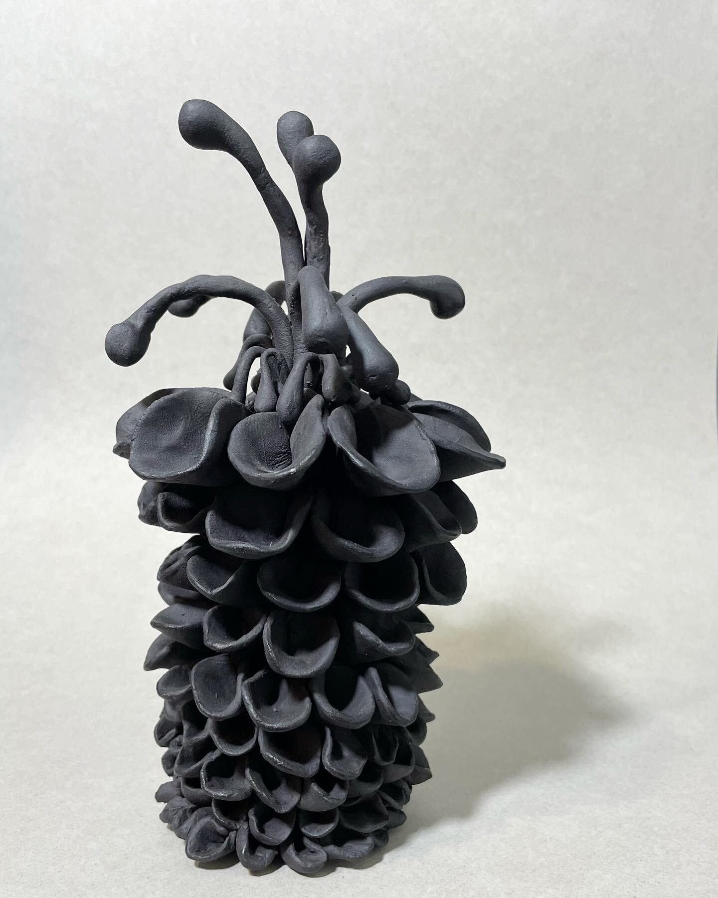 Petal palm plant. 
Inspired by flora.
Black clay. 
Approx 22x15cm.
DM for enquiries.

#hybrid #bespoke #unique #handmade #oneofakind #contemporaryart  #clayart  #potterystudio #handcrafted #home #architecture #pottery #potterylife #ceramicdesign #cer