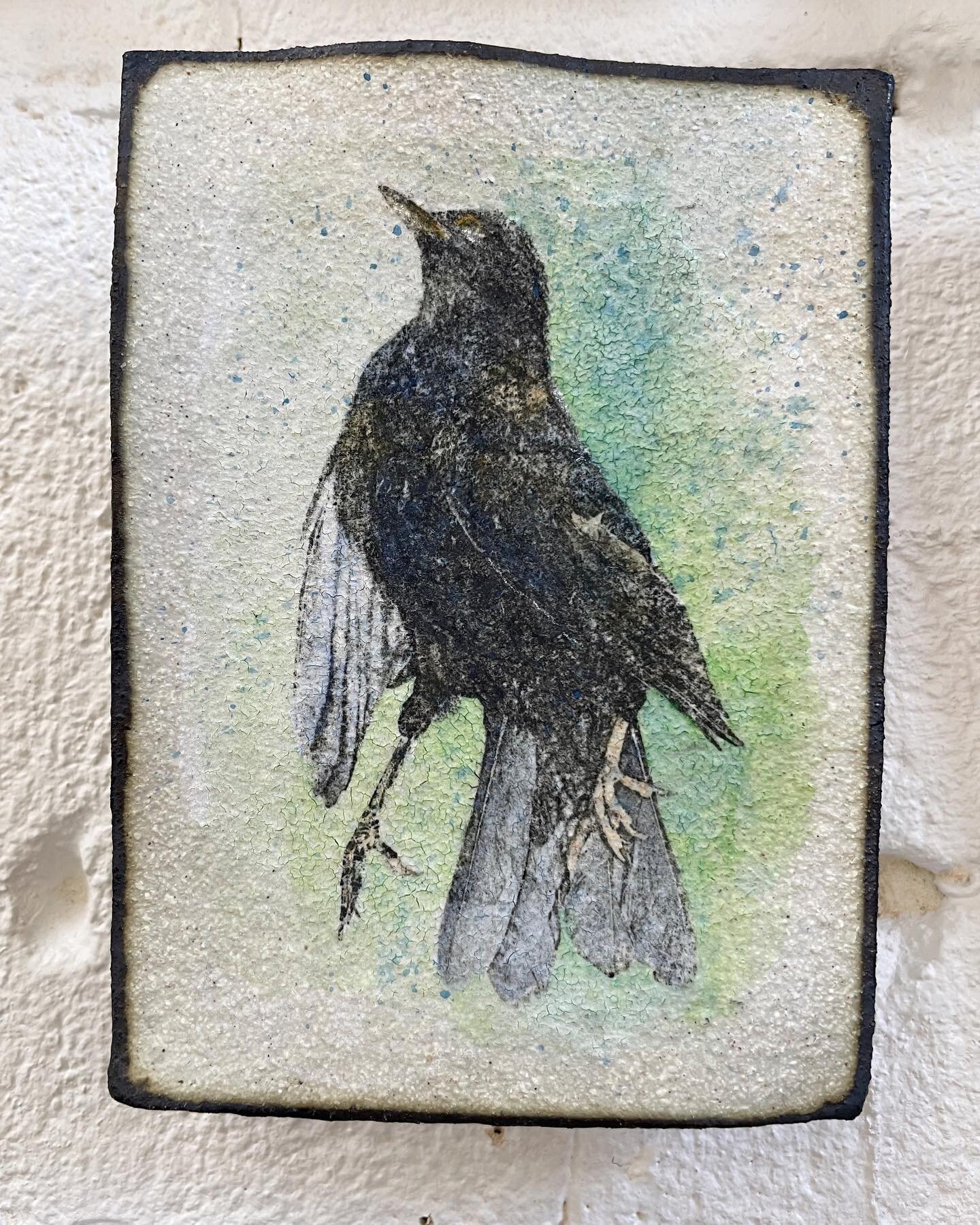Blackbird. 
Photography and watercolours.
White grog clay and black copper oxide edge. Approx 15 x10cm.

SOLD