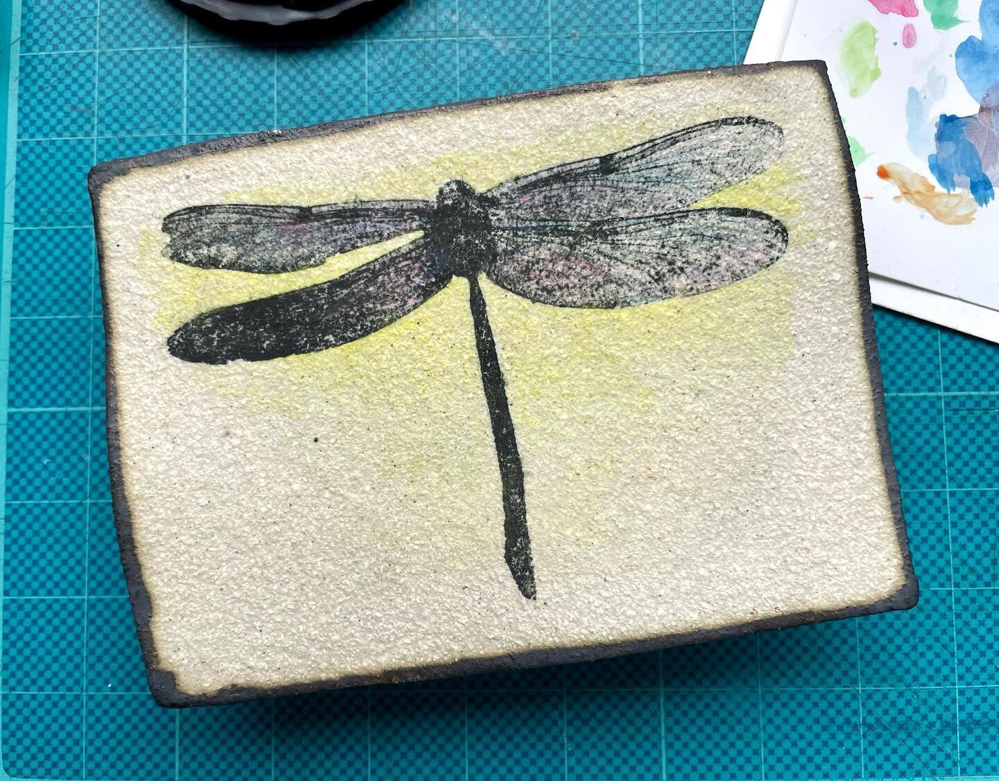 Dragonfly commissioned piece Photograph on Raku clay, hand coloured.