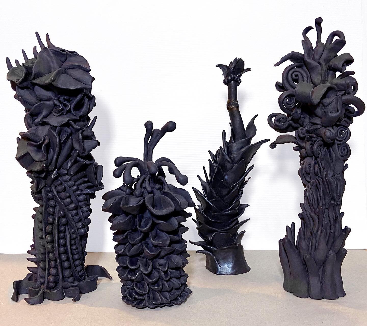 Dark side of the Bloom. 
Black stoneware clay. 
Selected for the 2023 National Cleveland Art Awards, New Zealand. @otagoartsociety 

Beginnings of a new series of hybrid flora that  could possibly be found somewhere, amongst our solar system ✨🌘🪐🛸?