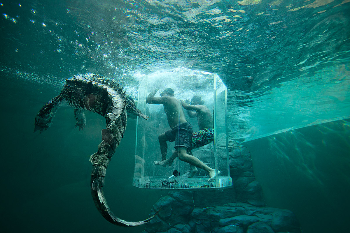 Croc