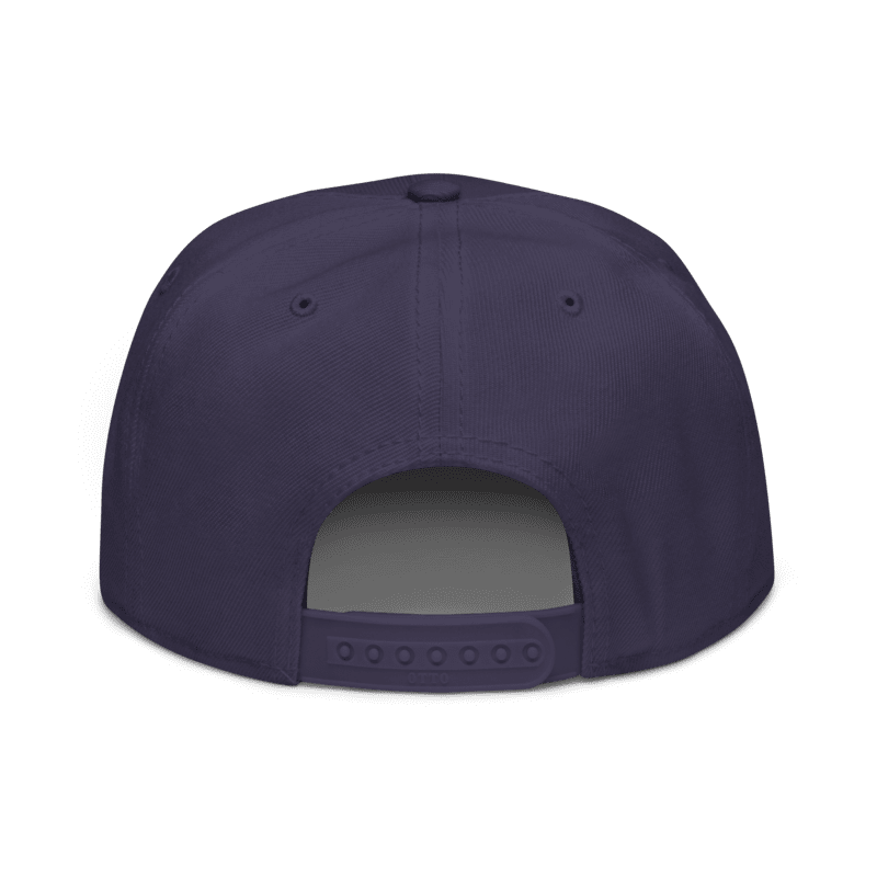 VA monogram navy snapback back.png