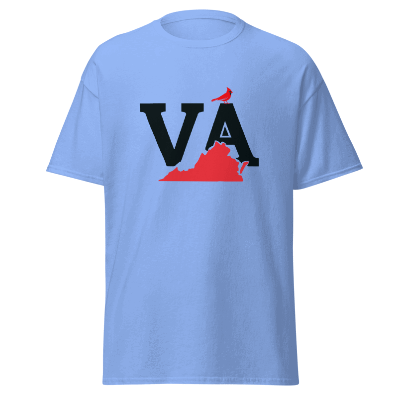 VA State T-shirt light blue.png