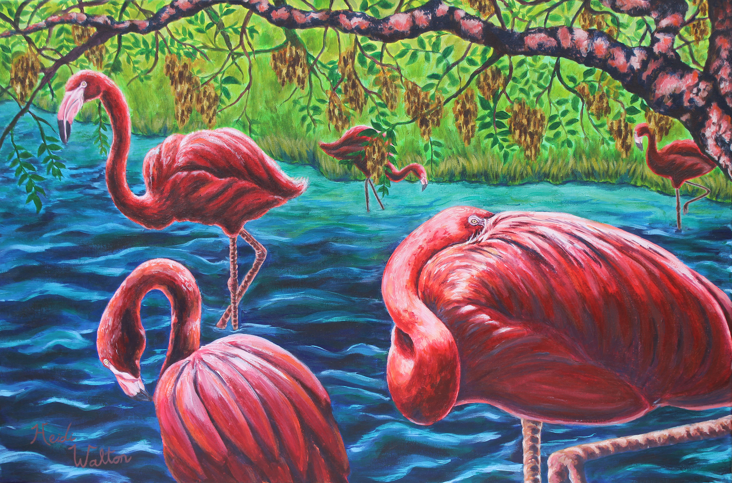 Flamingos2.jpg