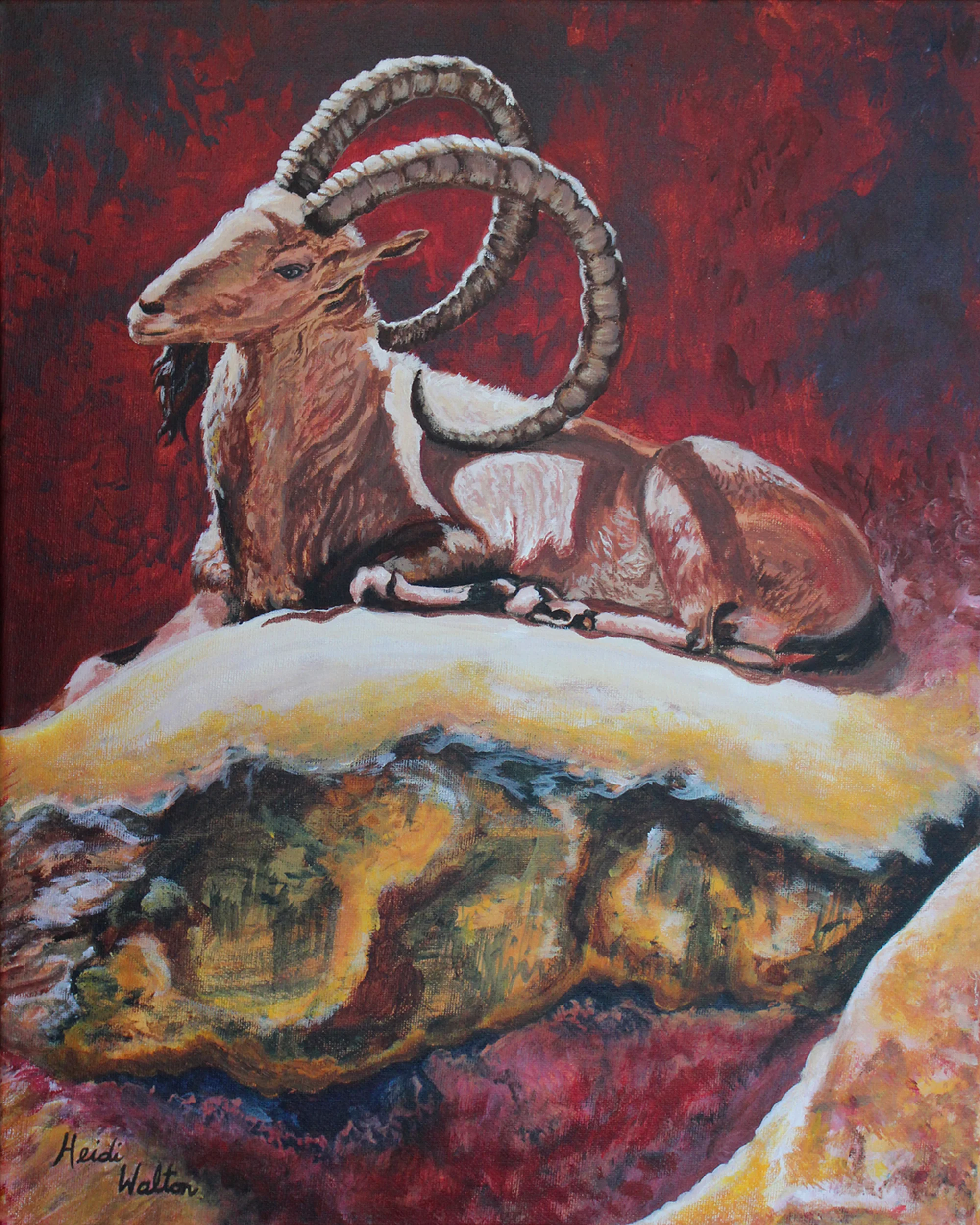 Ibex4 8x10.jpg